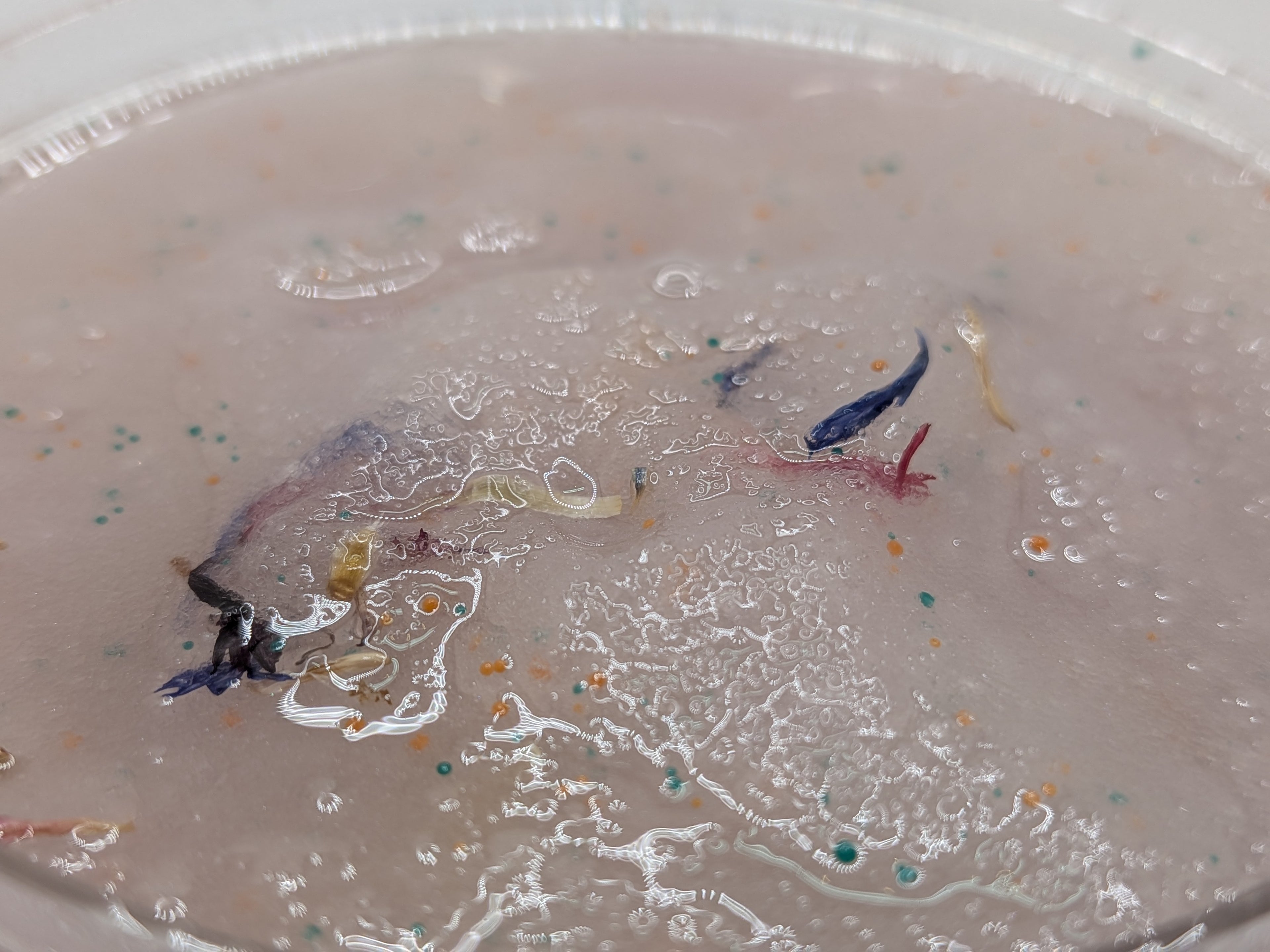 Cotton Candy Body Scrub