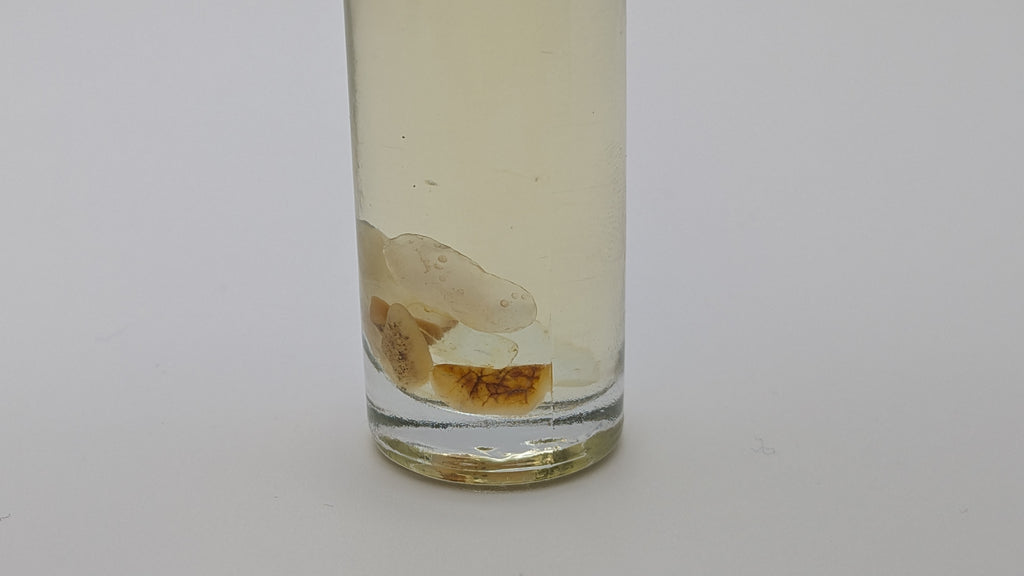 Pink Myrrh Oil Blend – 10ml