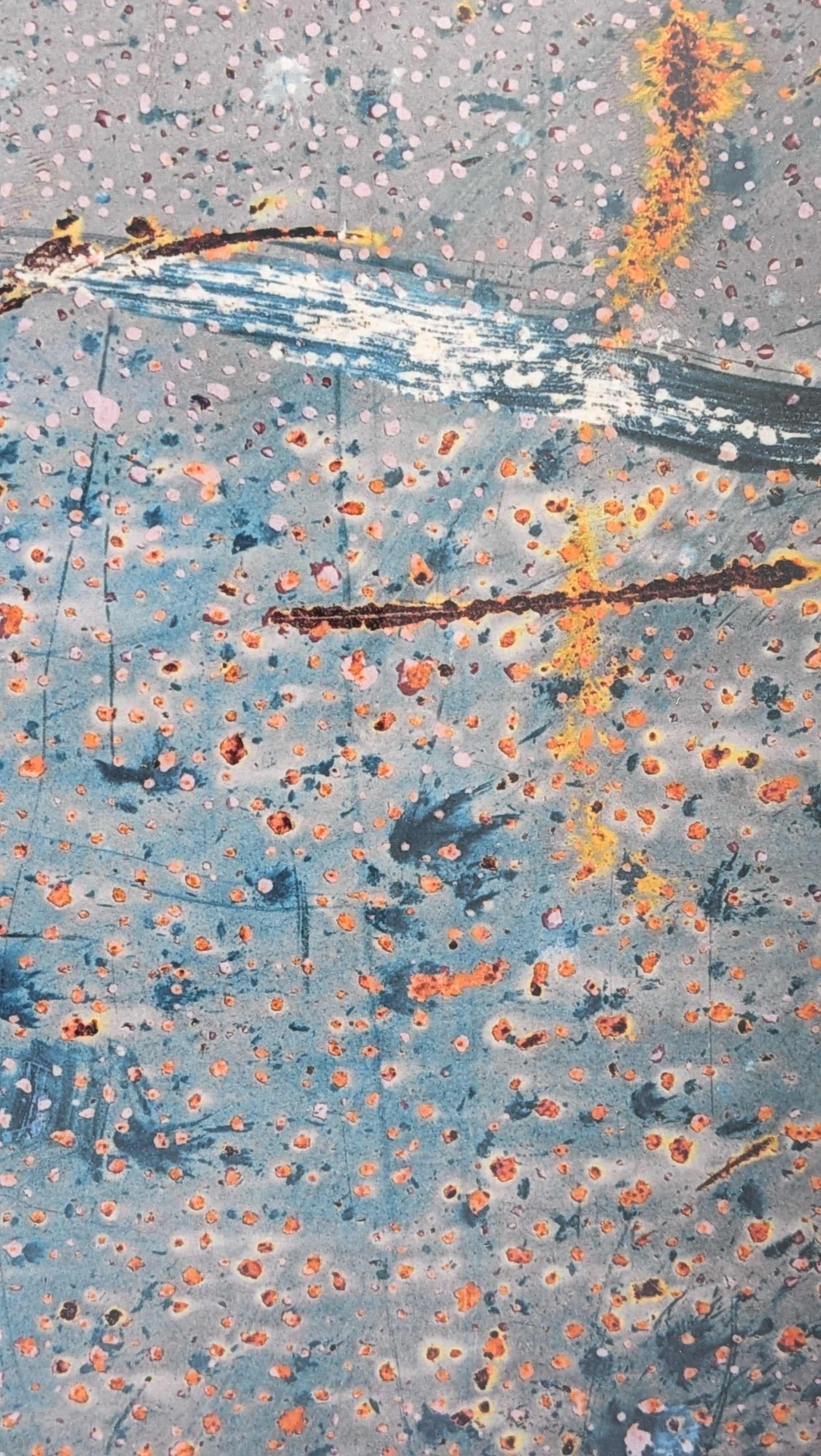 Ember Scatter by Mark Lee Webb