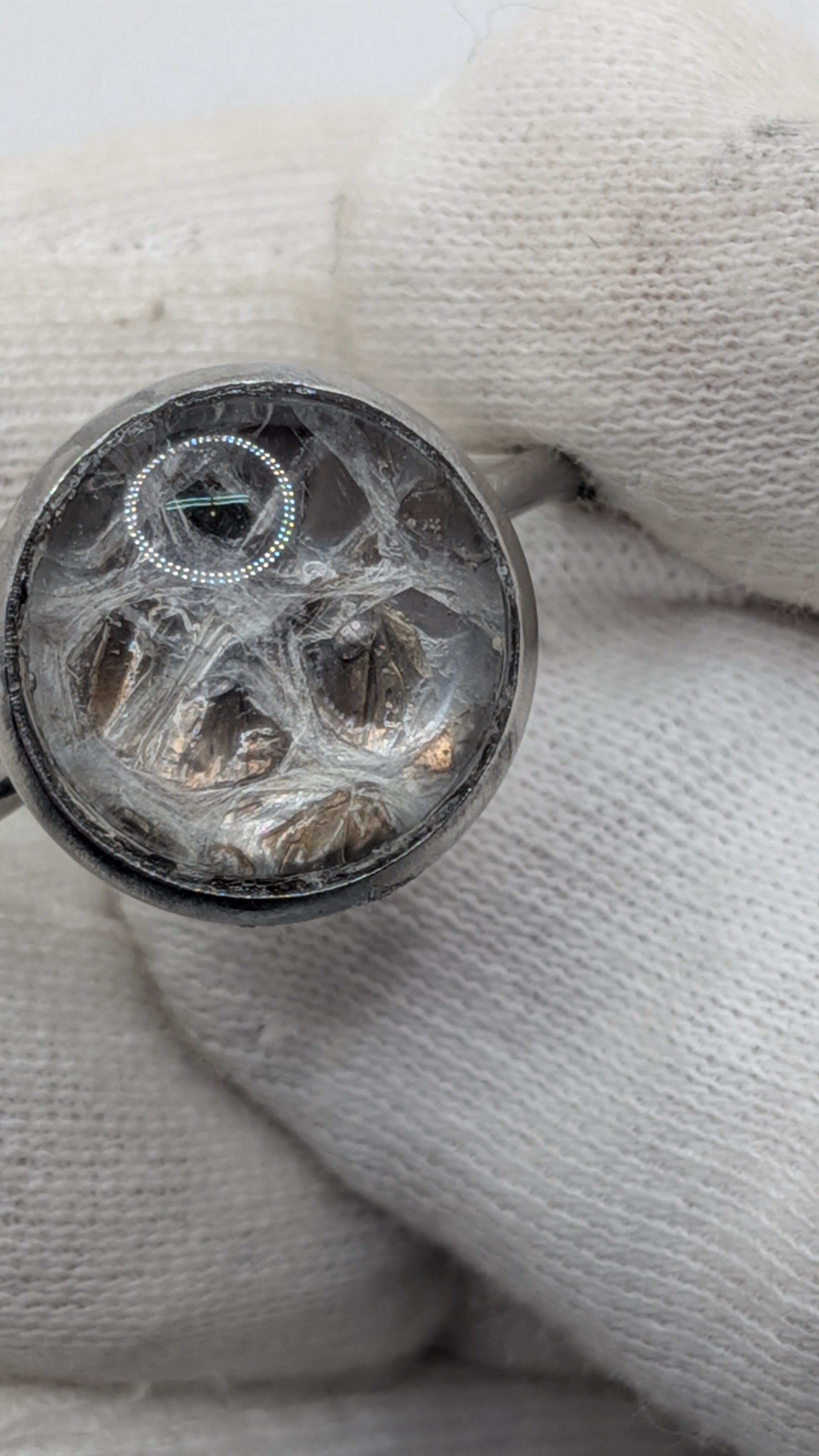 Gold Cactus Gifts: Stainless Steel Snake Skin Ring