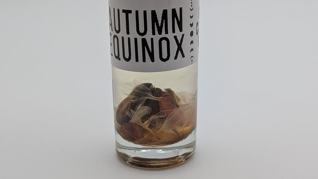 Kulli Gold Cactus Gifts Collab "Autumn Equinox" Oil Blend – 10ml